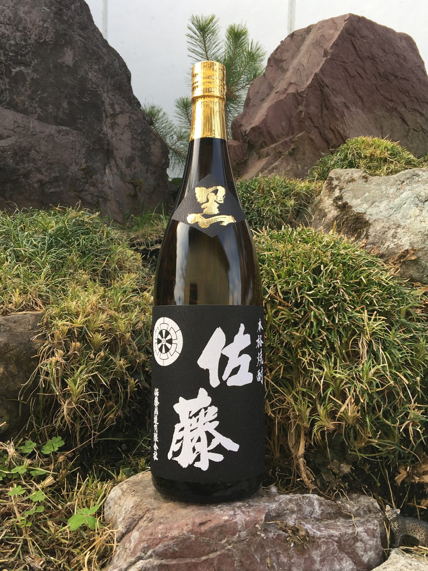 特価爆買い 鹿児島本格芋焼酎！黒麹仕込み「佐藤 黒」白麹仕込み「佐藤