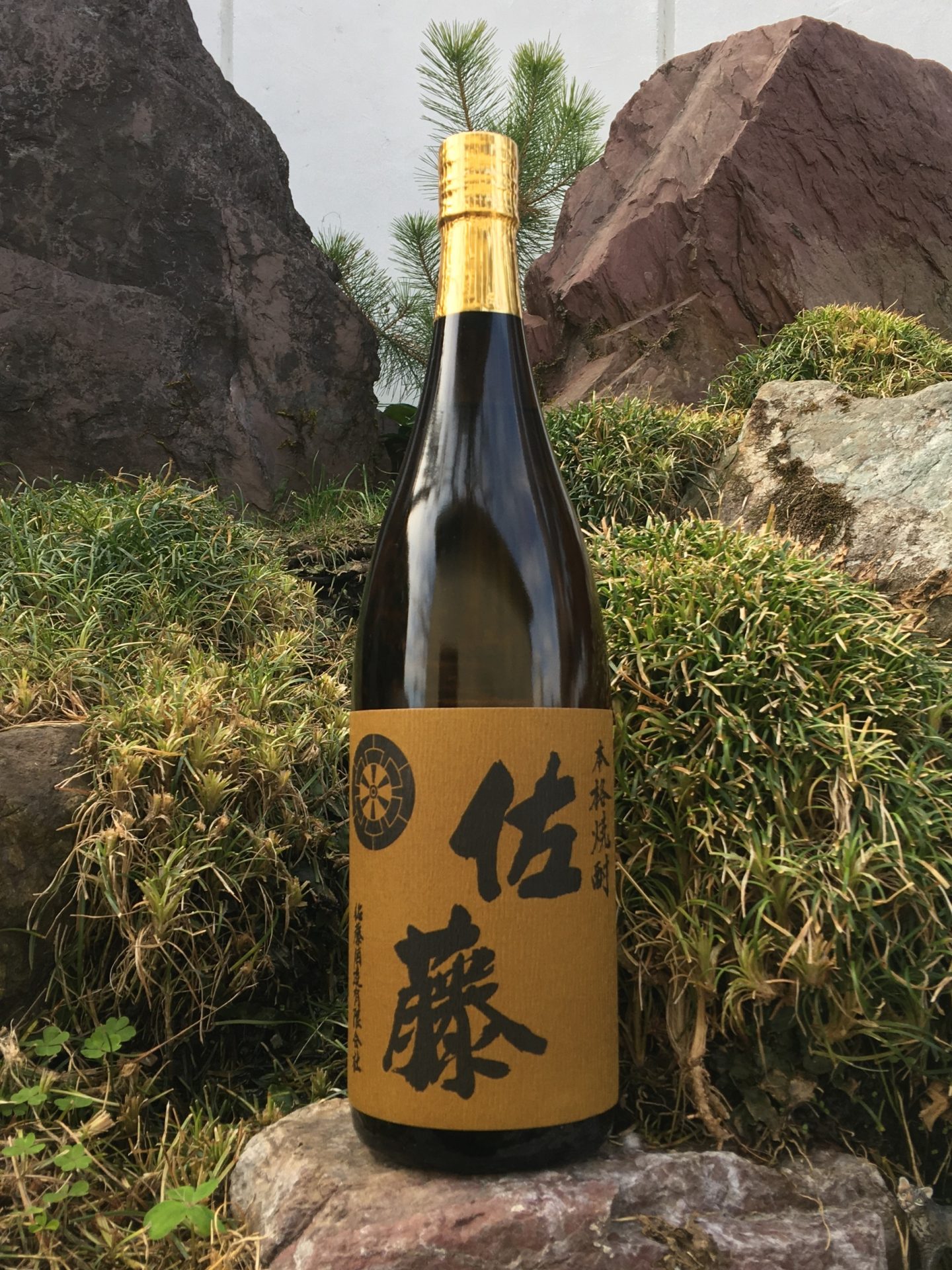 佐藤 麦 |鹿児島本格焼酎を楽しむ みんなの鹿児島焼酎 | 鹿児島県酒造組合